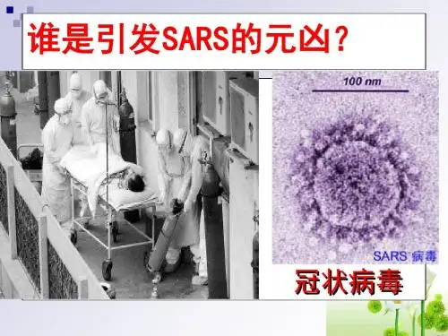 来自微生物的威胁-PPT课件