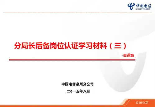 (更新)分局长后备岗位认证学习材料(三)-渠道能力