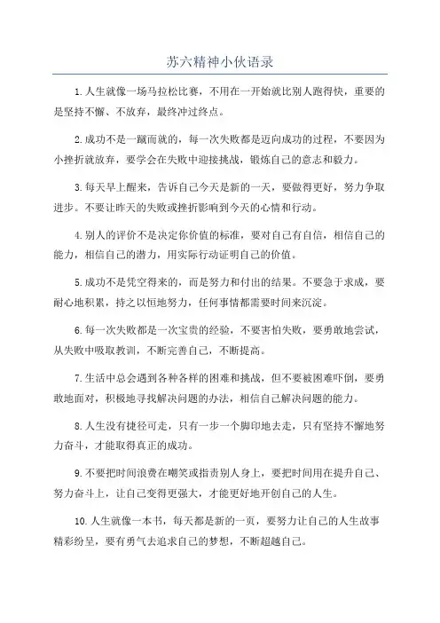 苏六精神小伙语录