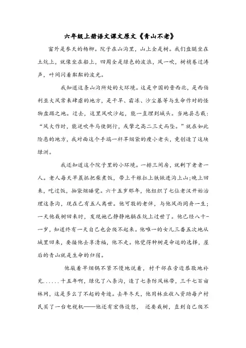 六年级上册语文课文原文《青山不老》