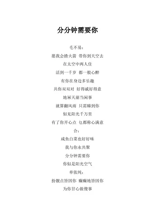 毛不易《分分钟需要你》歌词(专辑：声生不息 第6期)