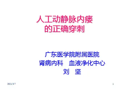 动静脉内瘘的正确穿刺PPT课件