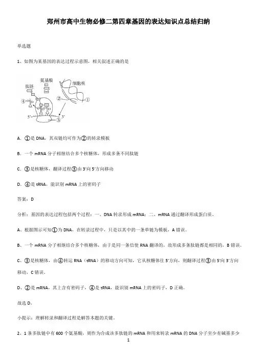 郑州市高中生物必修二第四章基因的表达知识点总结归纳