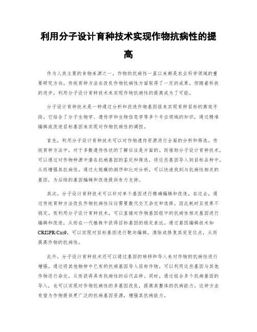 利用分子设计育种技术实现作物抗病性的提高