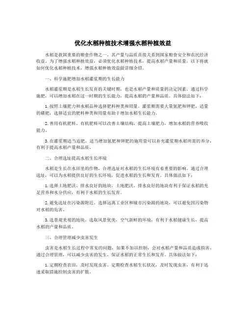 优化水稻种植技术增强水稻种植效益