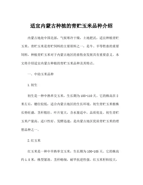 适宜内蒙古种植的青贮玉米品种介绍