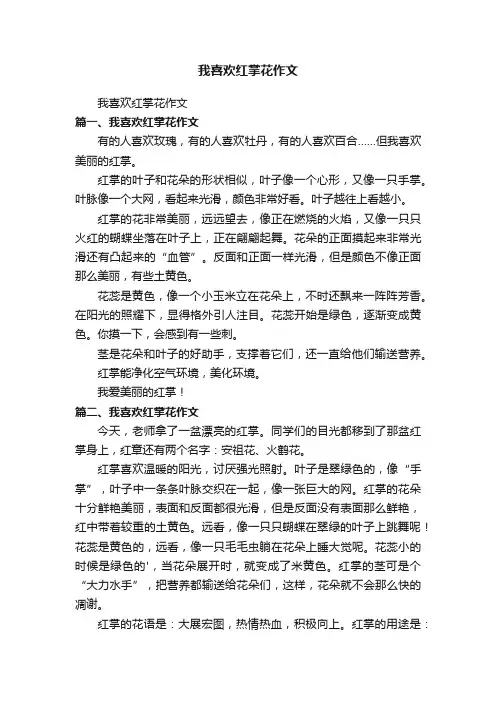 我喜欢红掌花作文