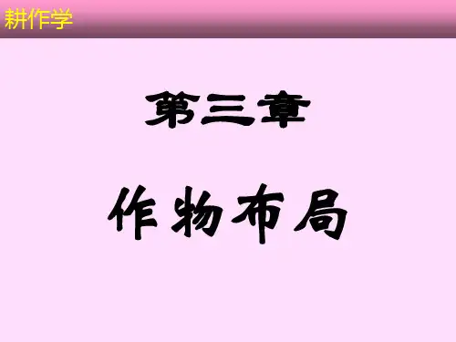 作物布局.