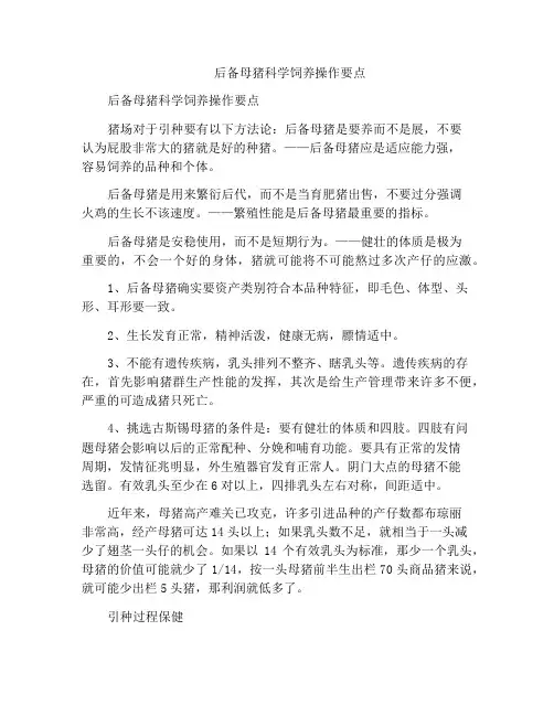 后备母猪科学饲养操作要点