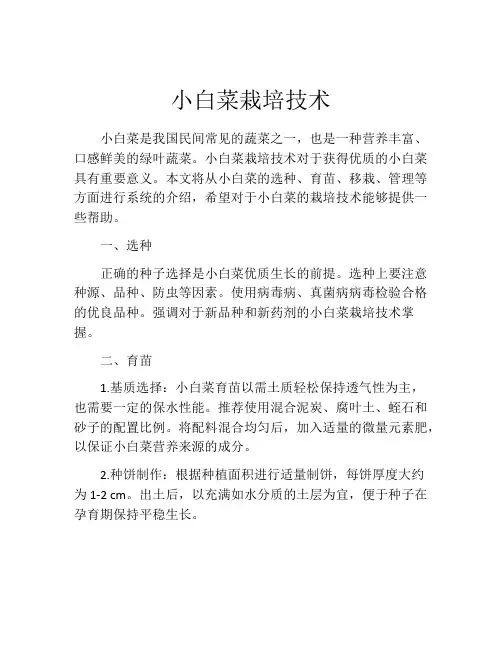 小白菜栽培技术
