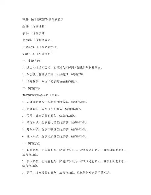 身体结构实验报告