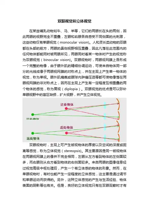 双眼视觉和立体视觉