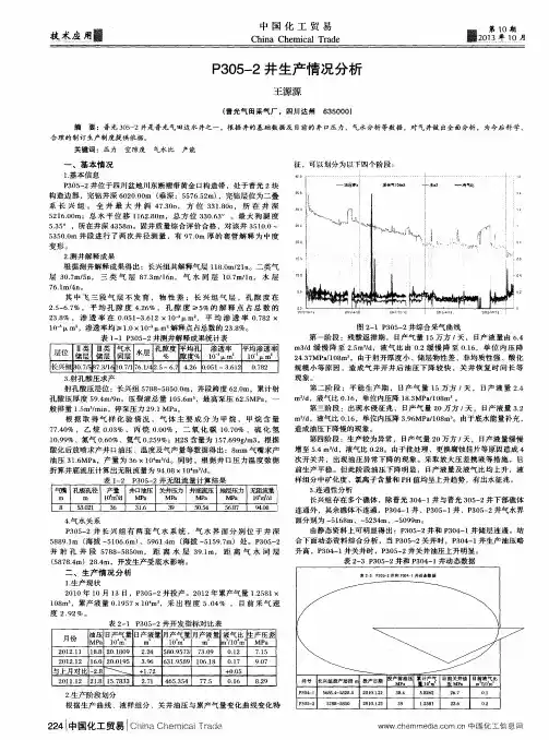 P305—2井生产情况分析