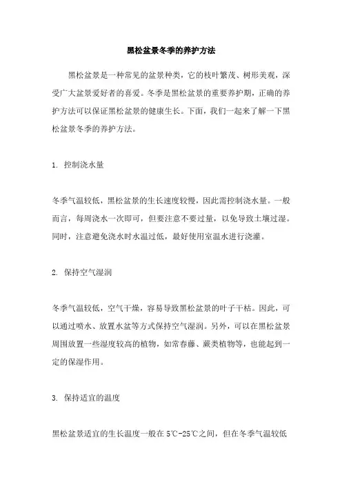 黑松盆景冬季的养护方法