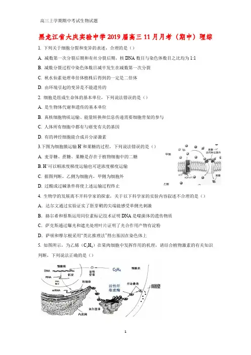黑龙江省大庆实验中学2019届高三11月月考(期中)理综生物试题