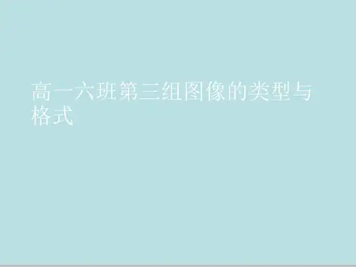 高一六班第三组图像的类型与格式