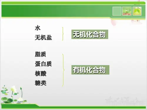 人教版高中生物必修一细胞中的无机物-ppt精品课件1
