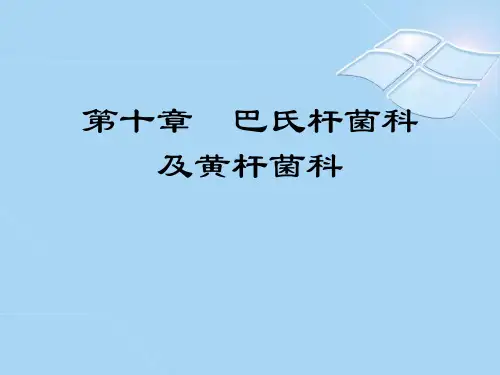 第十章  巴氏杆菌科