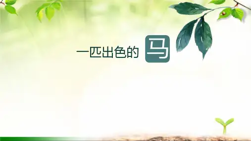 《一匹出色的马》ppt课件