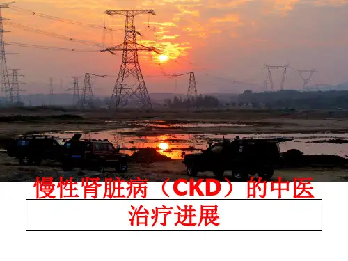 最新慢性肾脏病(ckd的中医治疗进展