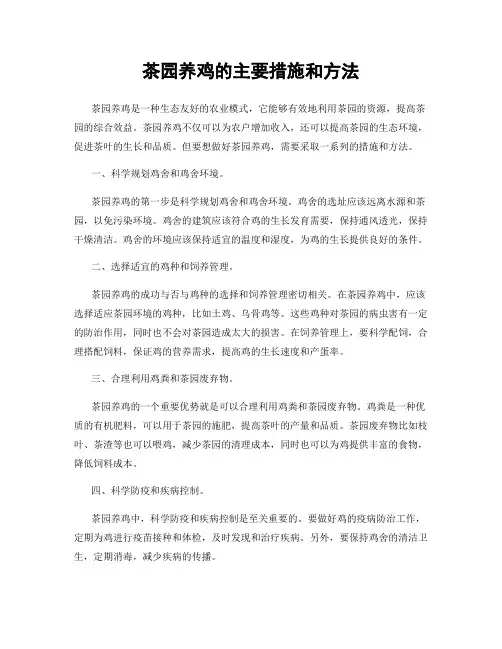 茶园养鸡的主要措施和方法