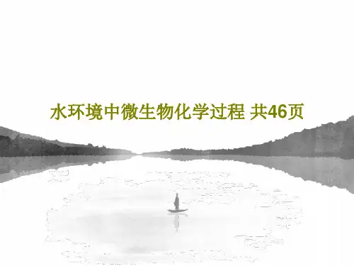水环境中微生物化学过程 共46页48页PPT
