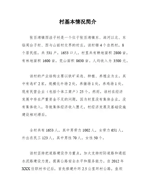 村基本情况简介