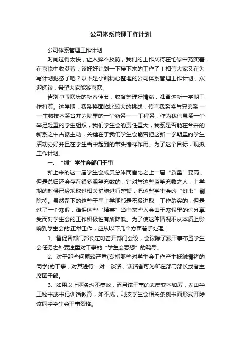 公司体系管理工作计划