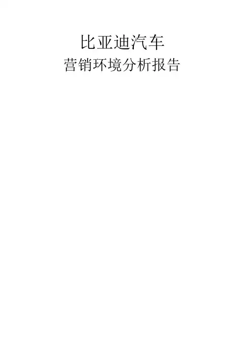比亚迪营销策略分析