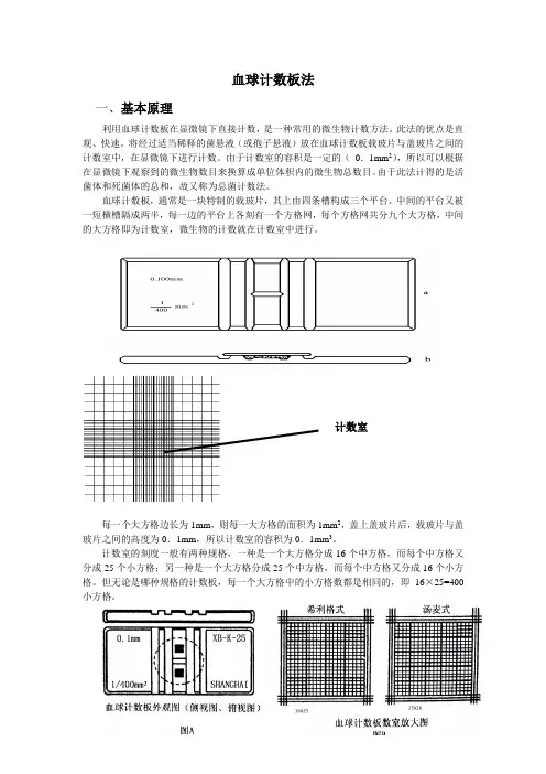 血球计数板