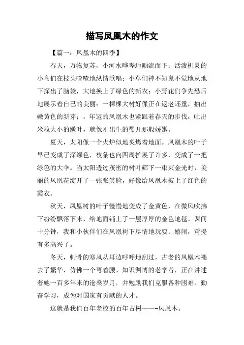 描写凤凰木的作文
