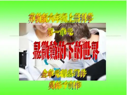 苏教版六年级上册科学全册精品课件