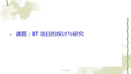 BT项目详解课件