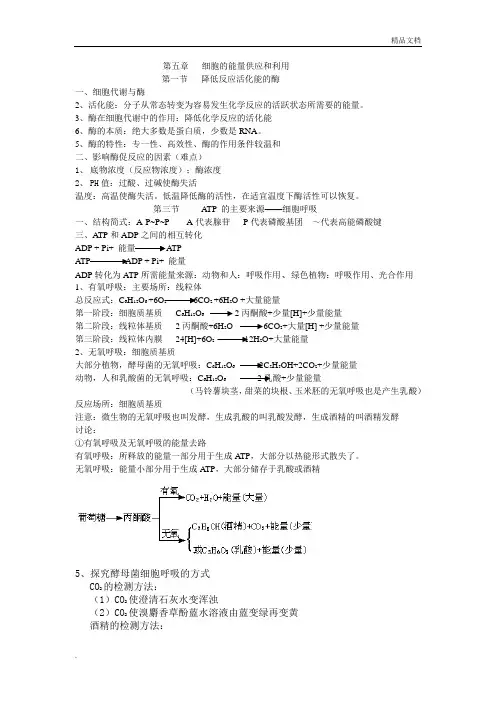 高一生物必修一第五章知识点总结
