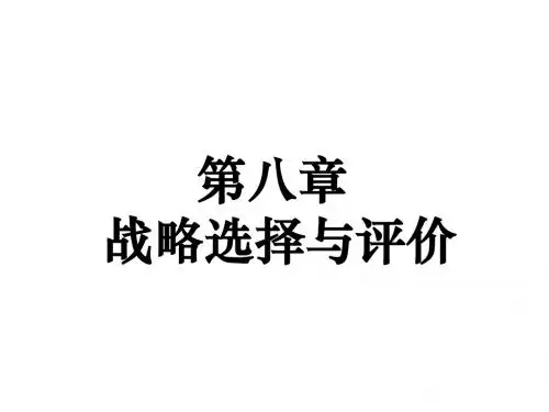 战略管理 战略选择与评价