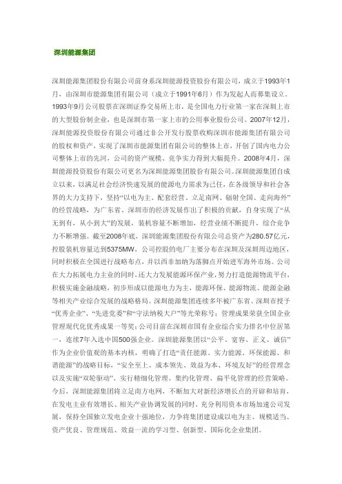 深圳能源公司简介