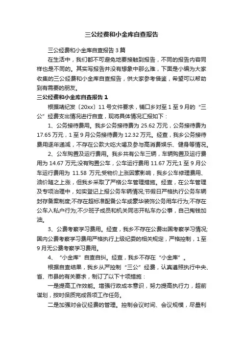 三公经费和小金库自查报告3篇