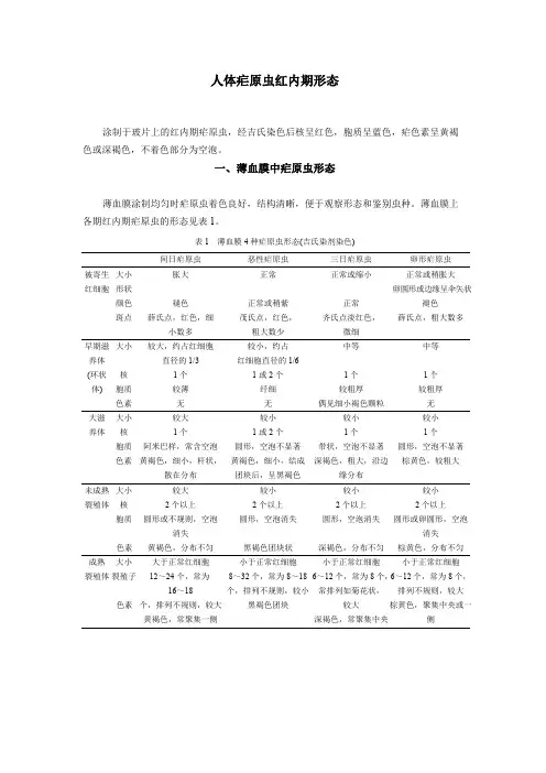 人体疟原虫红内期形态