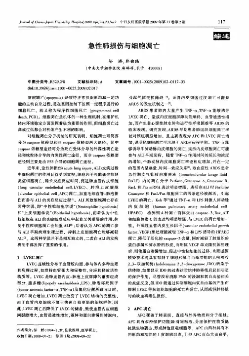 急性肺损伤与细胞凋亡
