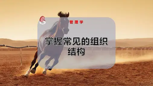 掌握常见的组织结构