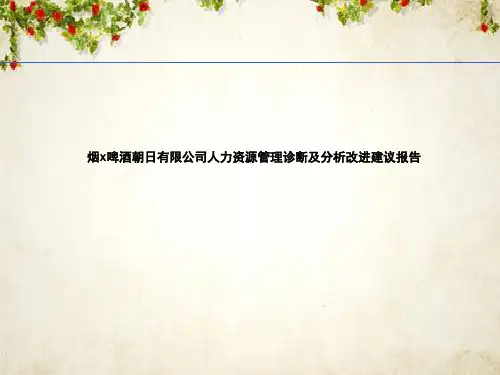 某公司人力资源管理诊断及分析改进建议报告(PPT 62页)