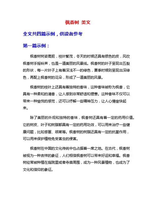 枫香树 美文