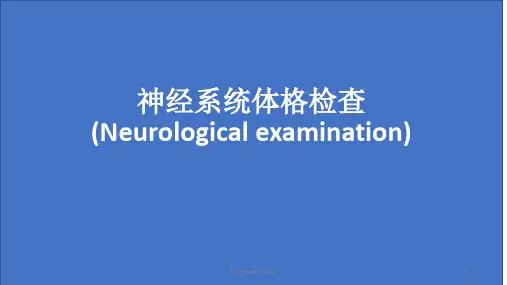 健康评估 神经系统体格检查