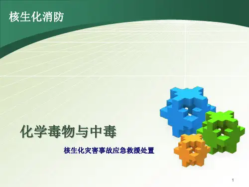 化学毒物与中毒ppt课件