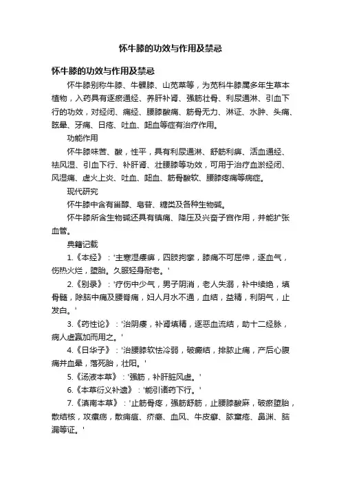 怀牛膝的功效与作用及禁忌