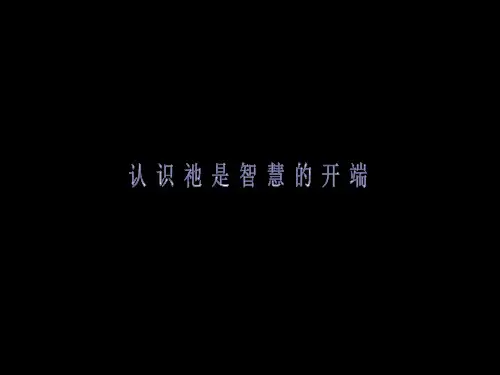 DISC性格分析ppt课件