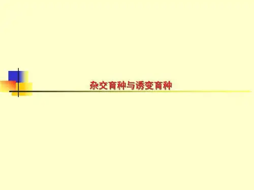 杂交育种与诱变育种