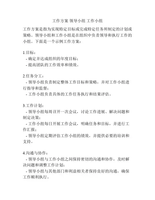 工作方案 领导小组 工作小组