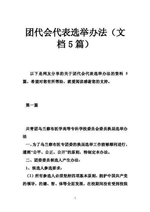 团代会代表选举办法（文档5篇）
