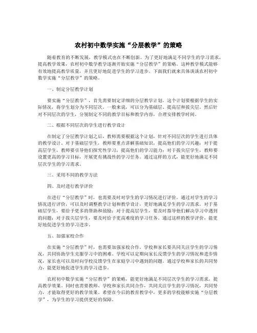 农村初中数学实施“分层教学”的策略